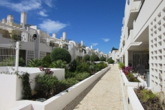 Commual garden