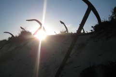 The "anchor graveyard" at nearby Barril beach