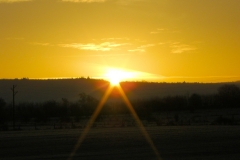 Sunshine