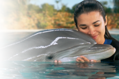 Zoo Marine - A Popular Algarve Attraction